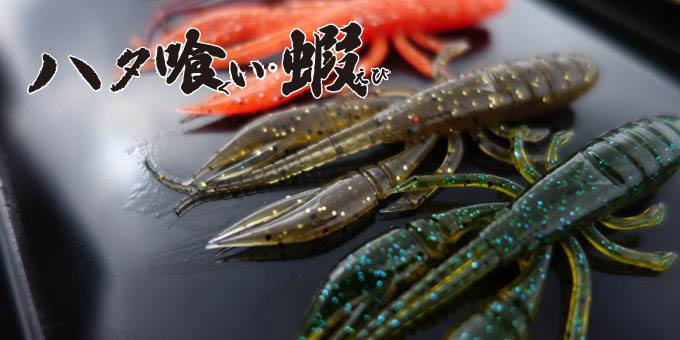 石斑大口咬!rudies ハタ喰い 虾(えび)